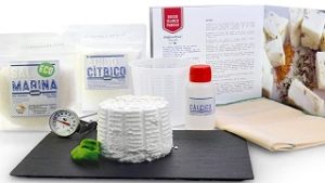 kit para fabricar queso fresco casero online 