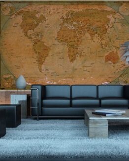 mapa del mundo mural