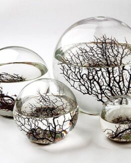 ecosphere comprar barato