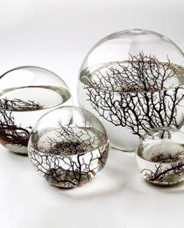 ecosphere comprar online