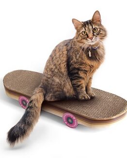 rascador gatos forma skate precio barato online