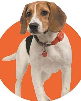 localizador gps perros sin cuotas precio barato online