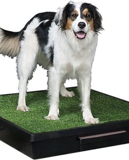 inodoro portatil mascotas precio barato online